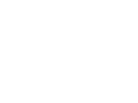 Salice Logo